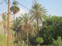 IMG_5908