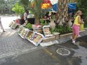 IMG_5925