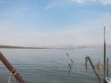 IMG_6040