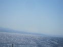 IMG_6947
