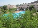 IMG_6955