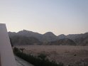 IMG_6991