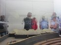 IMG_4200