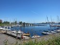 IMG_6559