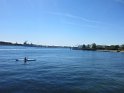IMG_6561