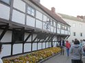 IMG_6656
